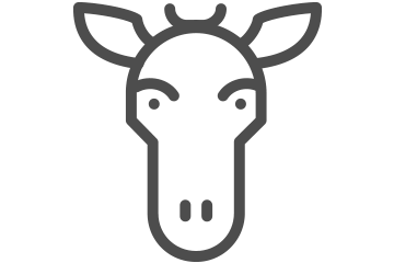 moodesign